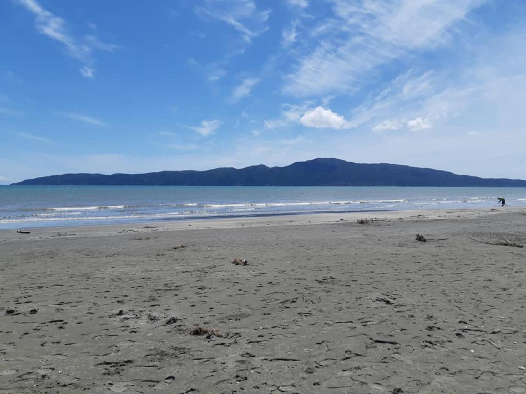 Raumati Guest House Paraparaumu Εξωτερικό φωτογραφία