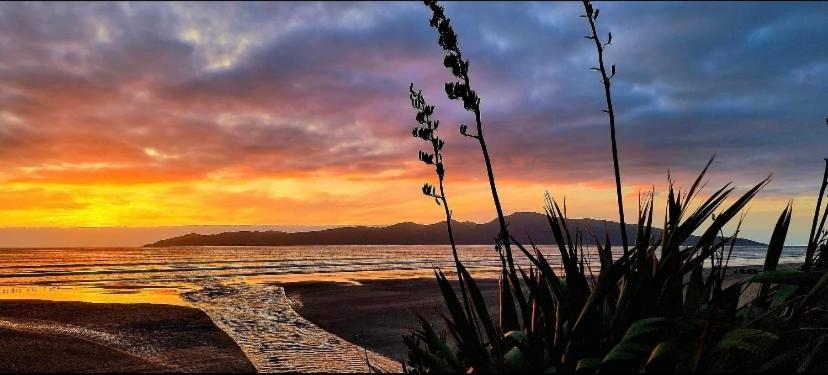 Raumati Guest House Paraparaumu Εξωτερικό φωτογραφία